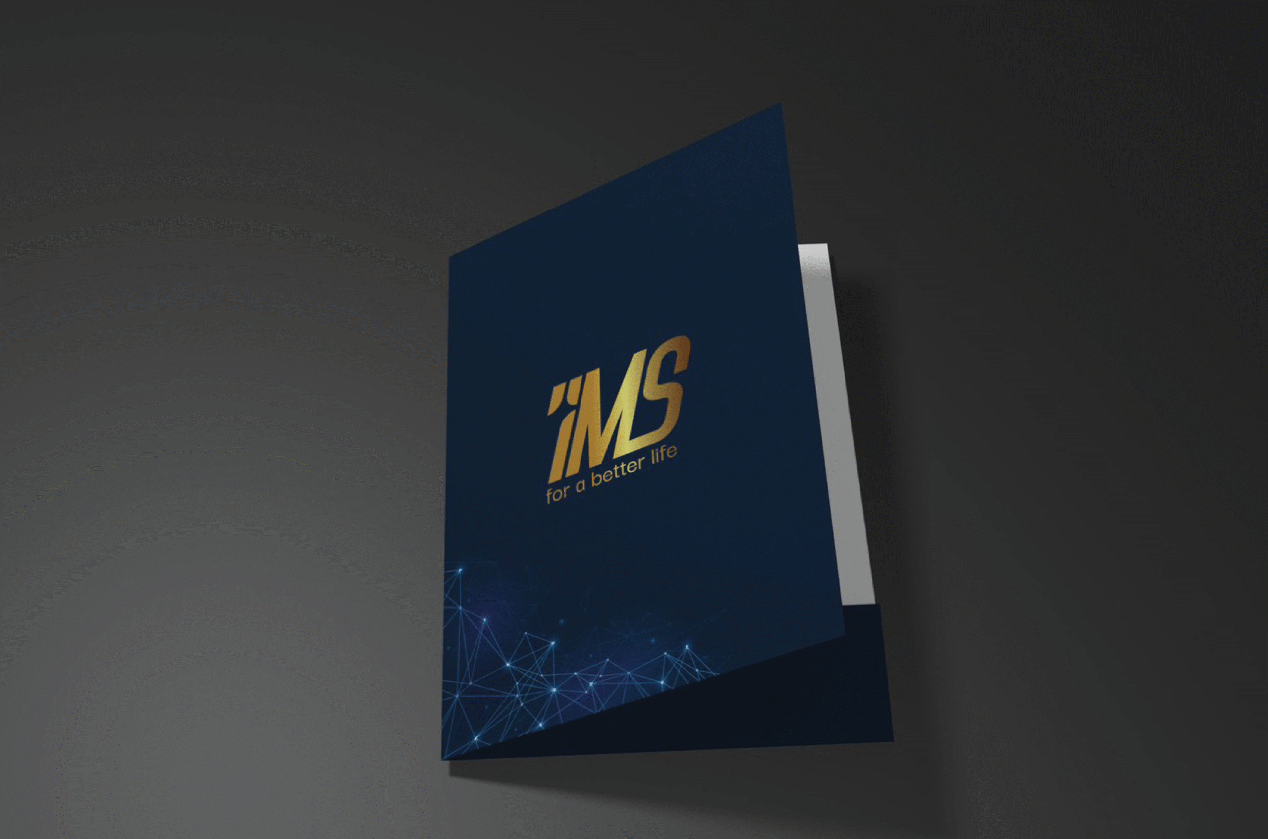 pigroup-bizbrand-branding-06