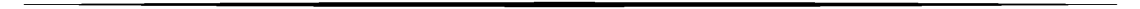 duong-line-ke-bizbrand